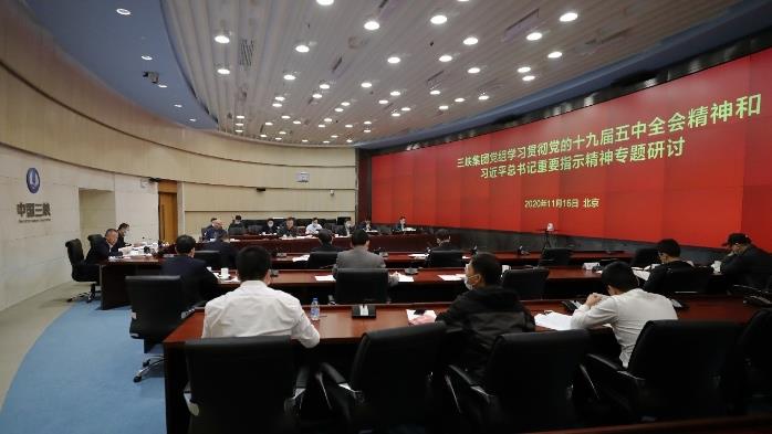 三峡集团党组开展学习贯彻党的十九届五中全会精神专题钻研 
