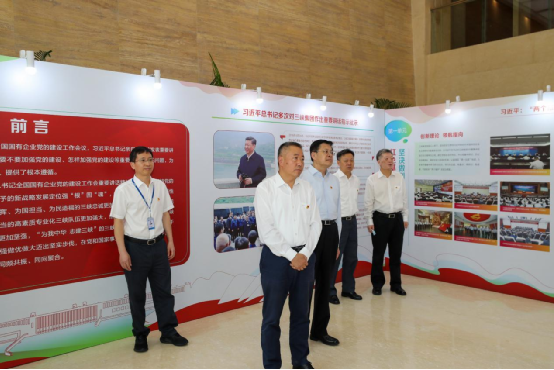 三峡集团召开学习贯彻习近平总书记天下国企党建会主要讲话精神报告会 