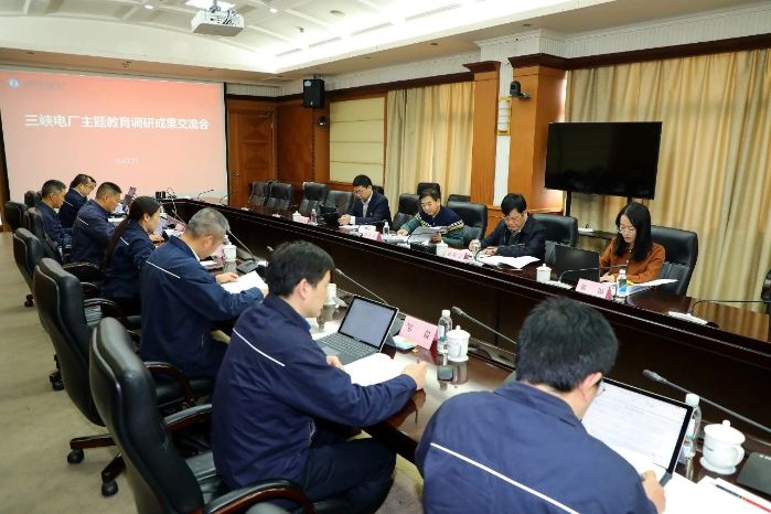 坚持严督实导 有力有序推进 推动第二批主题教育一直走深走实 