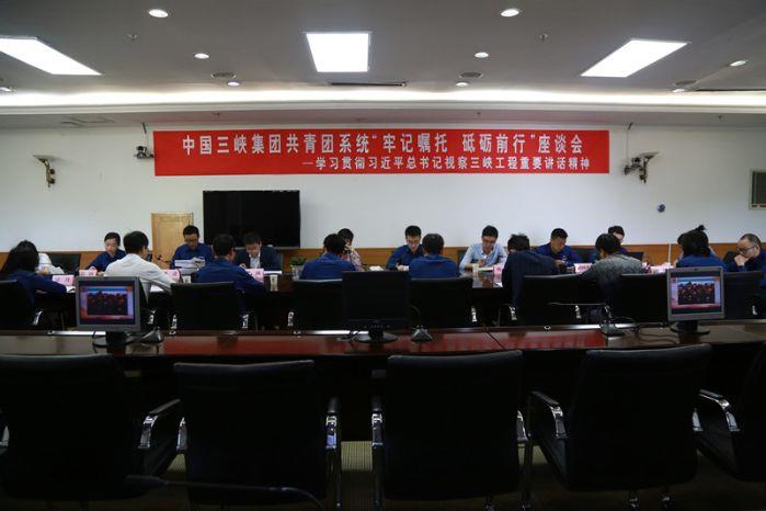 中国三峡集团共青团系统组织召开“切记嘱托 砥砺前行”座谈会 