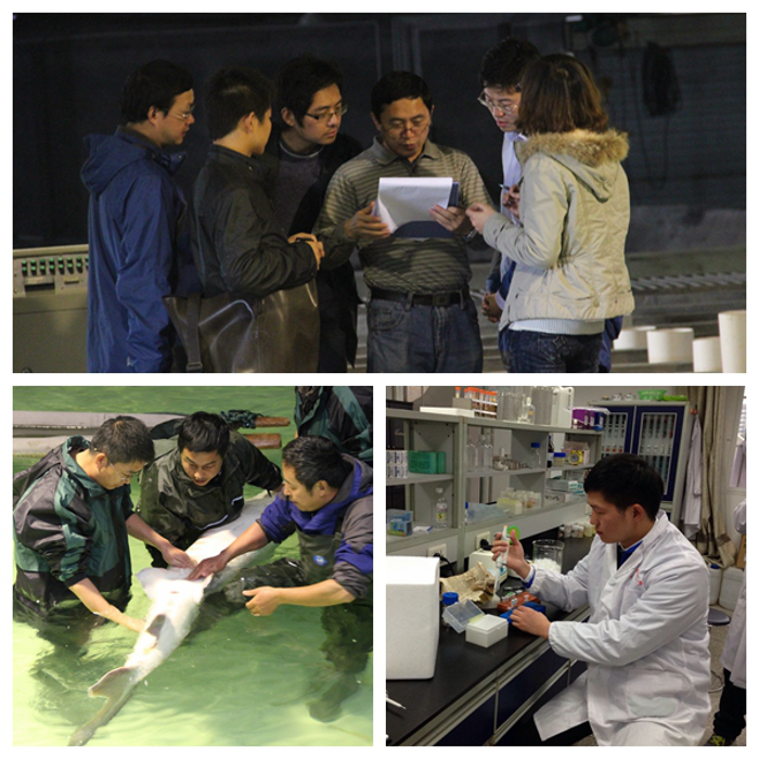 三峡青年起劲开展“；；；ぶ谢唷⒐不こそ馈敝魈馔湃栈疃 