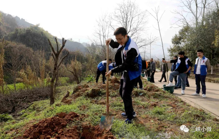 三峡集团湖北区域团员青年开展植树节活动 