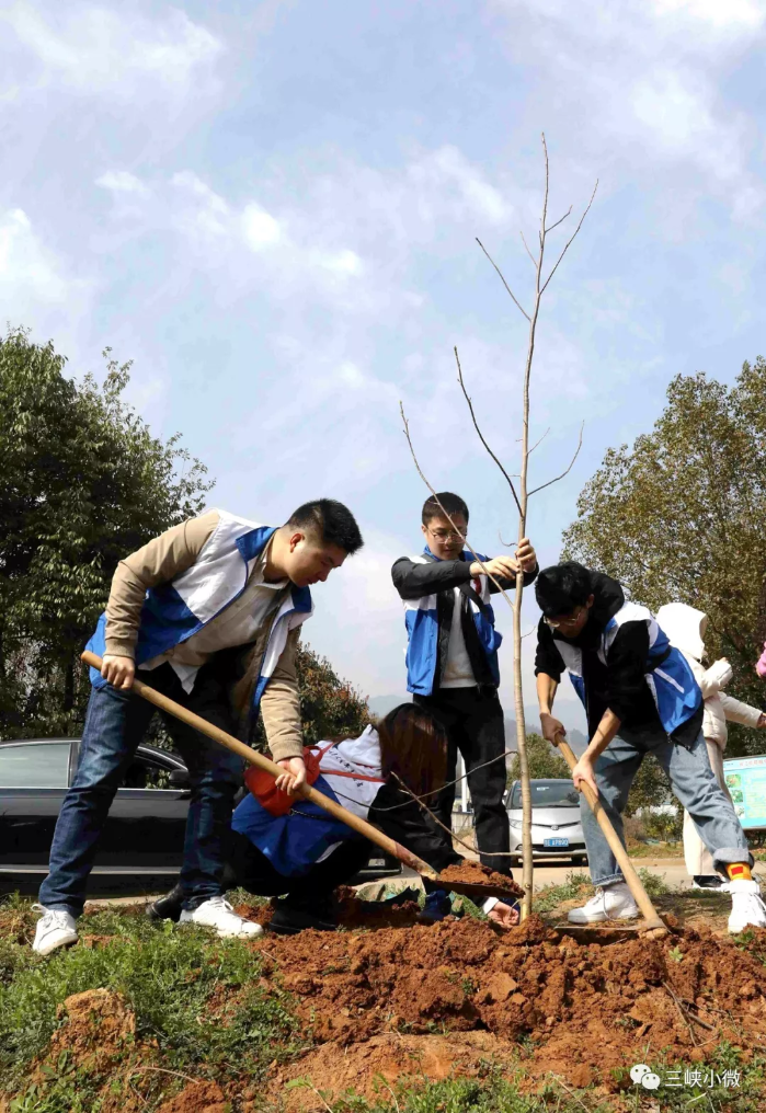 三峡集团湖北区域团员青年开展植树节活动 
