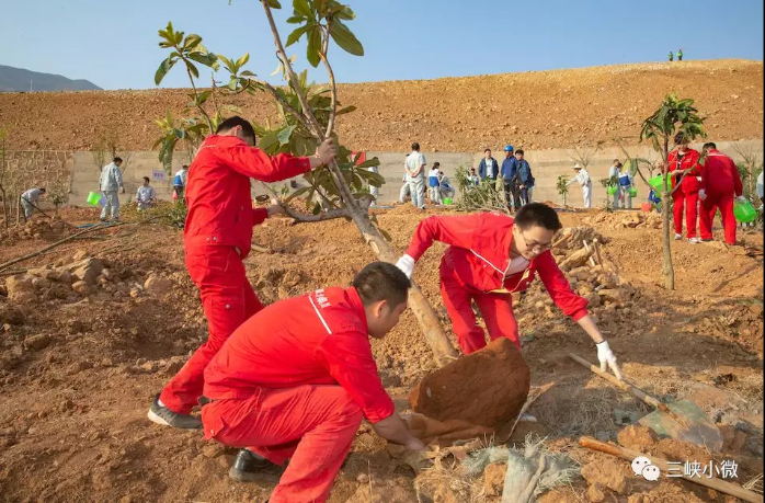 中华大地越来越“绿”，，三峡在行动！ 