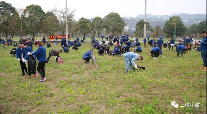 中华大地越来越“绿”，，三峡在行动！ 