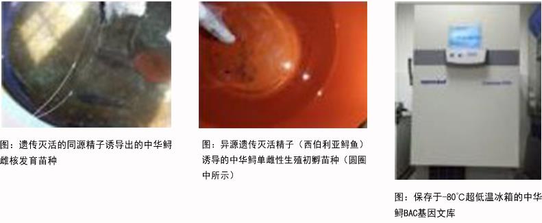 情形；；；；た蒲 