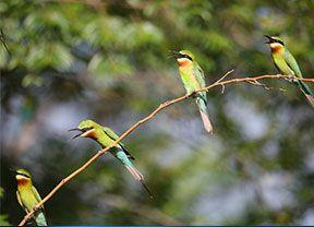 6165cc金沙总站(中国)线路检测中心