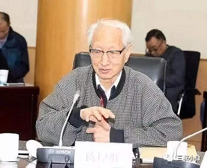 陈厚群：三峡工程是高质量的卓越水利水电工程 