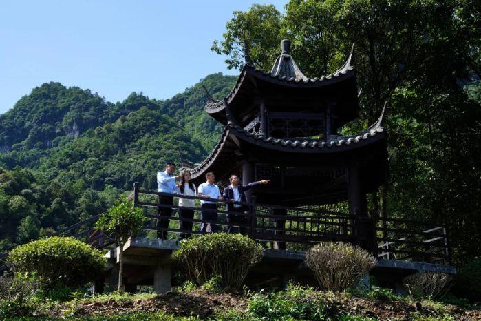 转山品茶 “茶马古道”走出新路 