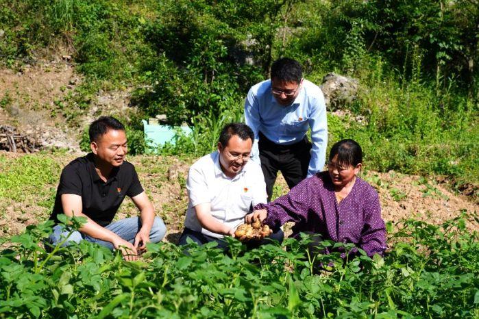 转山品茶 “茶马古道”走出新路 