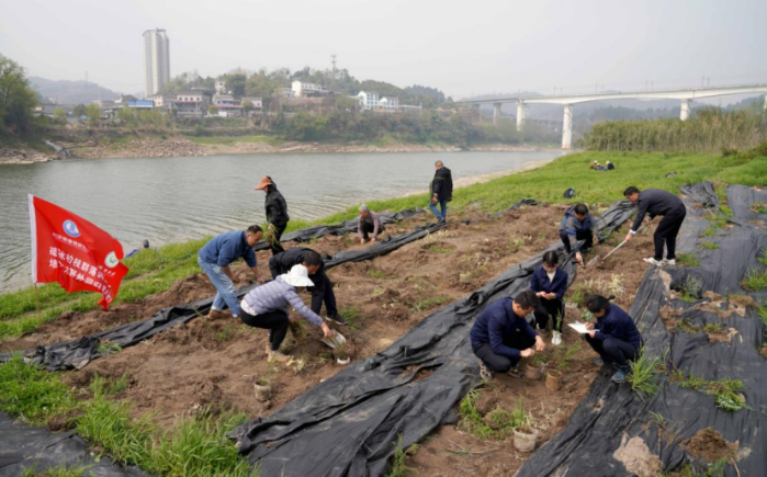 长江生物多样性研究中心植物保；で嗄晖哦尤倩裉煜碌谑唤 “母亲河奖”绿色团队奖 