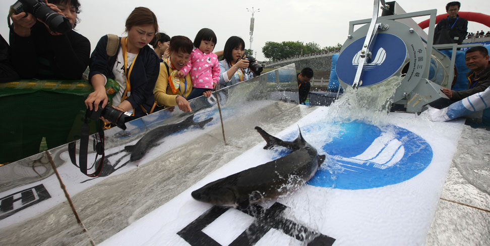 生态环保投资与运营 