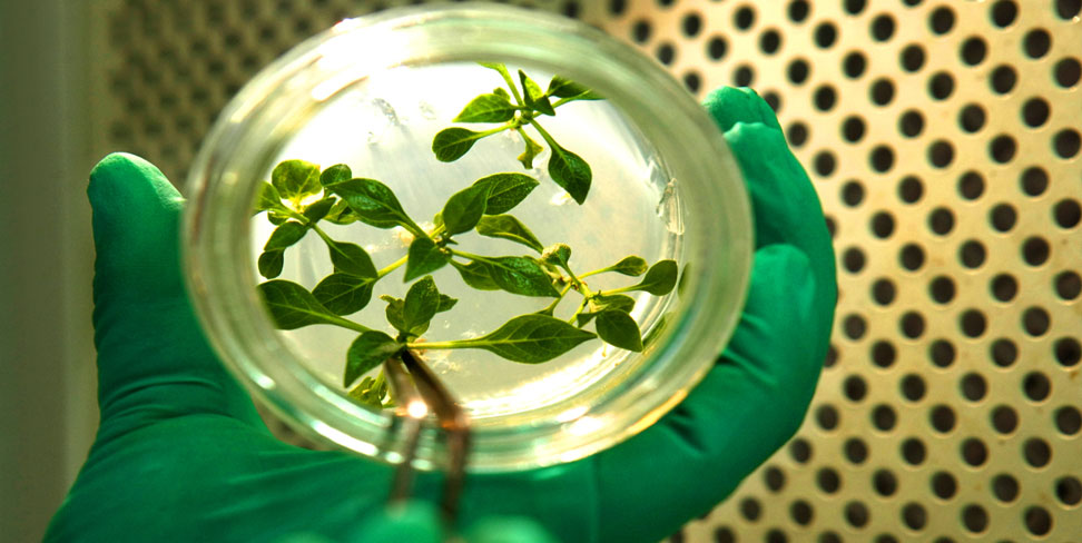 生态环保投资与运营 