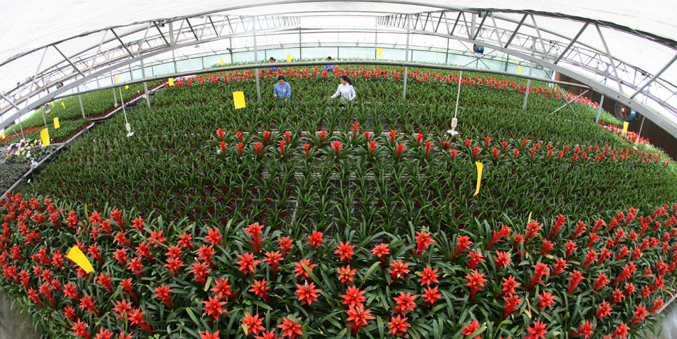 生态环保投资与运营 